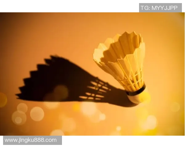 深圳羽毛球队力量争议引发热议球迷与专家观点碰撞激烈